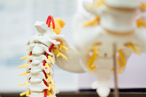 spinal-adjustment